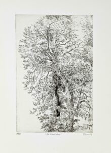 pascal girard arbre gravure rouen